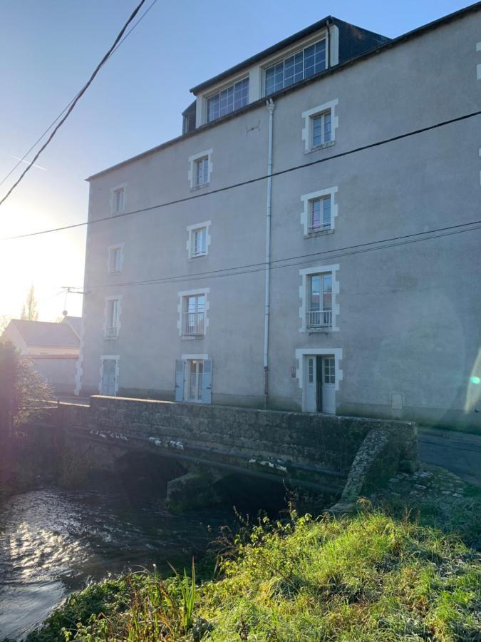 Апартаменти Le Moulin Des 2 Roues Мен-сюр-Луар Екстер'єр фото